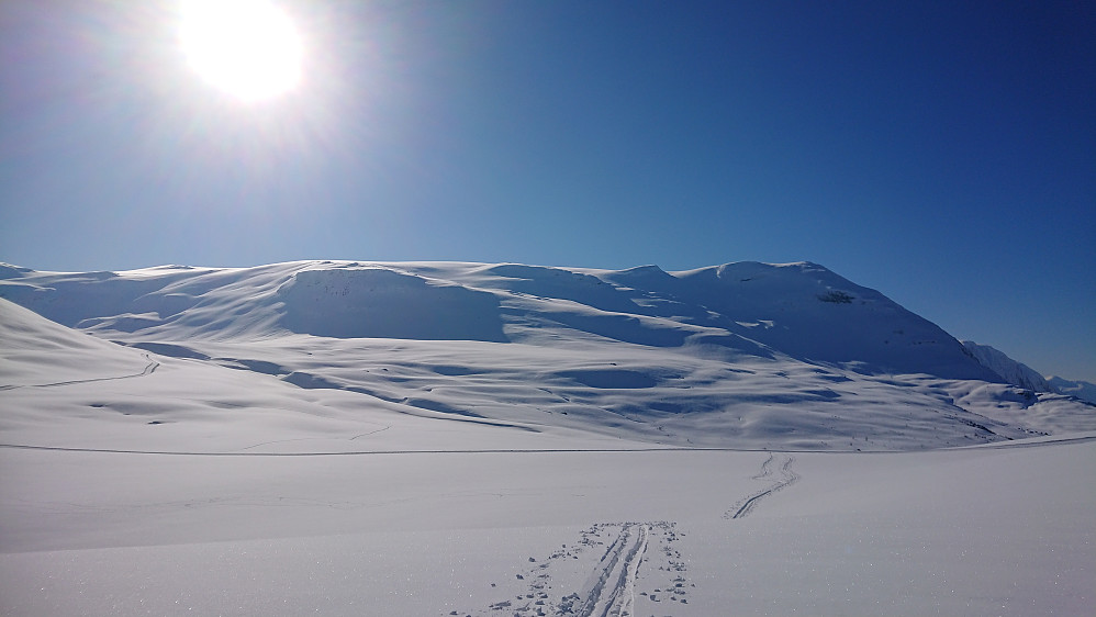 Utsikt fra teltet mot Myklebustbreen og Geitenyken