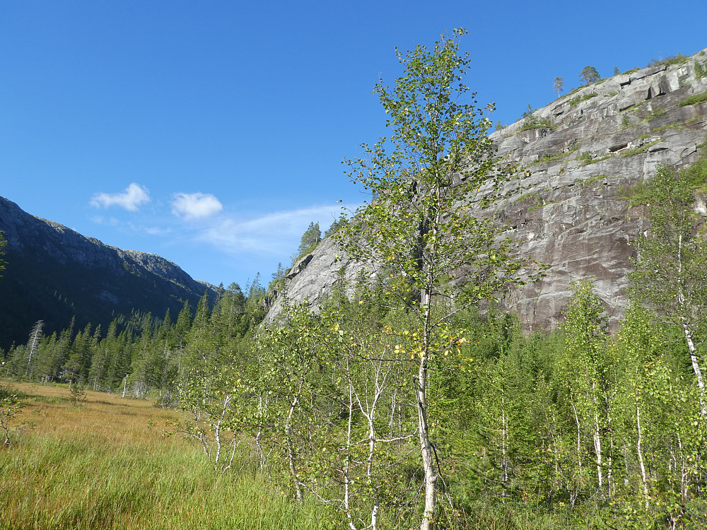 Fjellveggen ved Kverntjønna der jeg gikk til venstre til skogholtet for å komme til topps