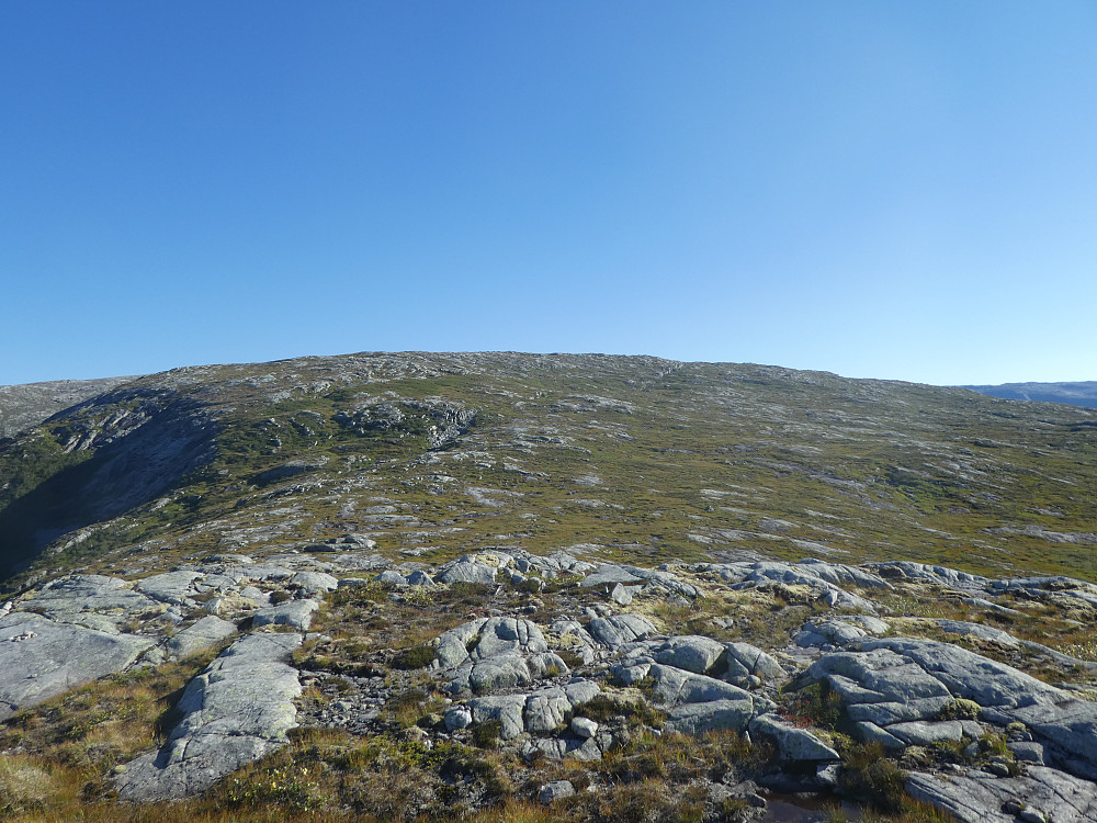 Relativt lettgått terreng opp mot Drottendalsfjellet
