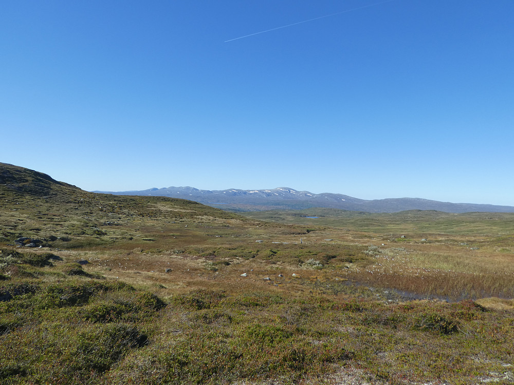 Utsikt fra Sørskardet. Skjækerfjella nærmer seg, Skjækerhatten den høyeste og Løysmundhattene til venstre for denne