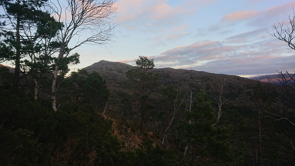 Sauafjellet