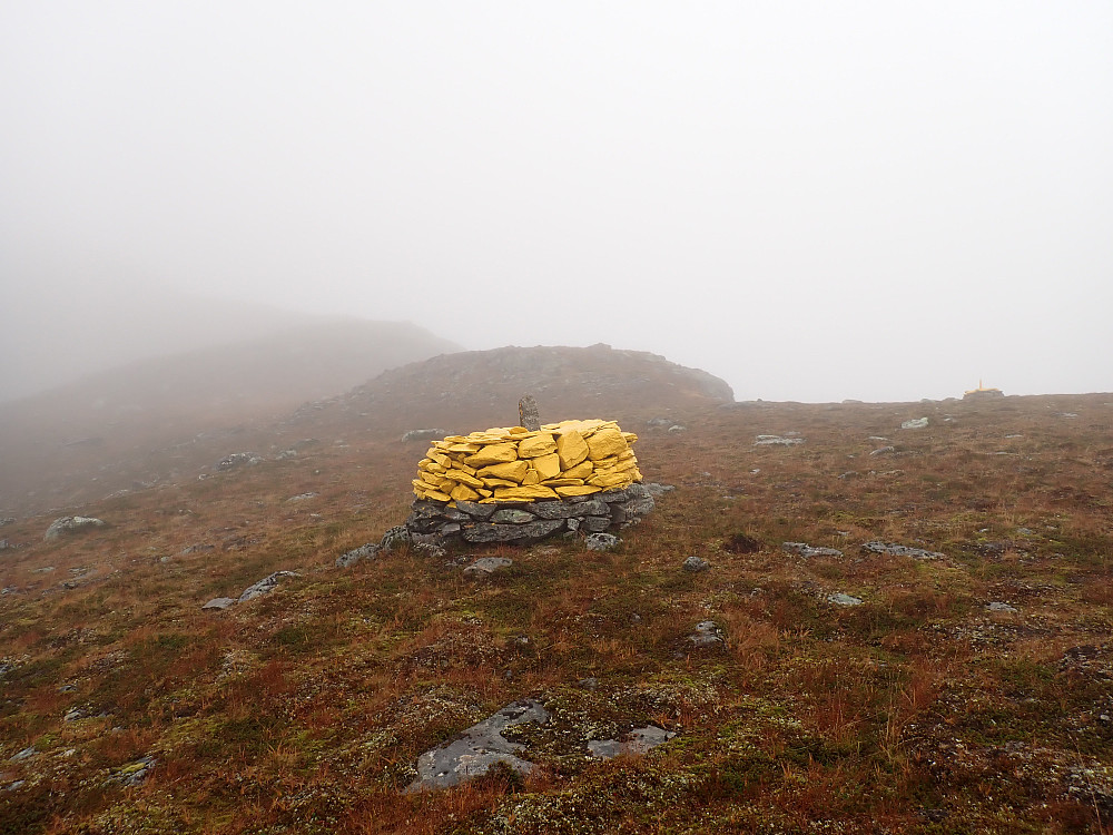 Riksrøysa i tåka