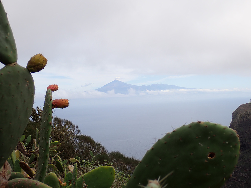 Tenerife med Teide