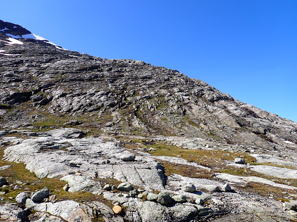 Fulgte vegetasjonen oppover