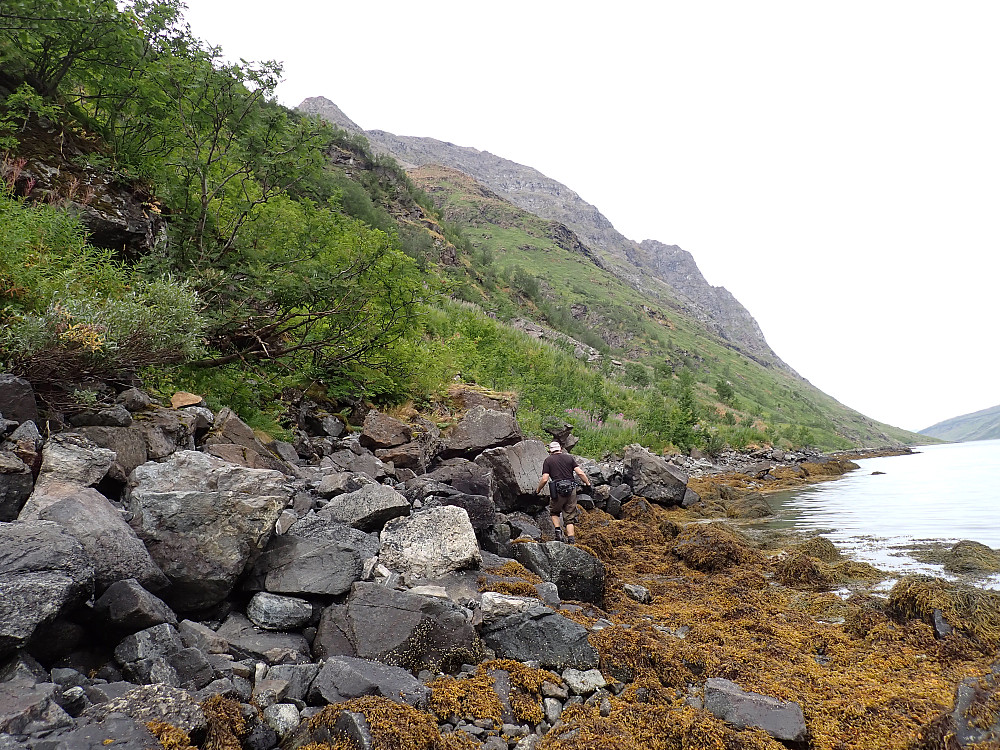 Krevende terreng langs Store Kjerringfjordbotn 