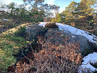 Sola19_20250118_678b9d7d8ff9d.jpg