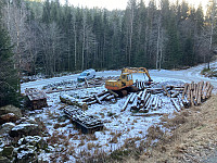 Sola19_20250216_67b2014788643.jpg