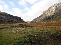 Sola19_20250217_67b3b33ebd0fc.jpg