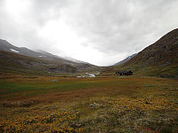 Sola19_20250224_67bc9e81e8c51.jpg