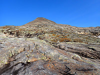 Sola19_20250224_67bc9f9a1adff.jpg