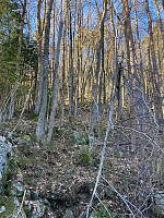 Sola19_20250322_67dedd1f0766f.jpg