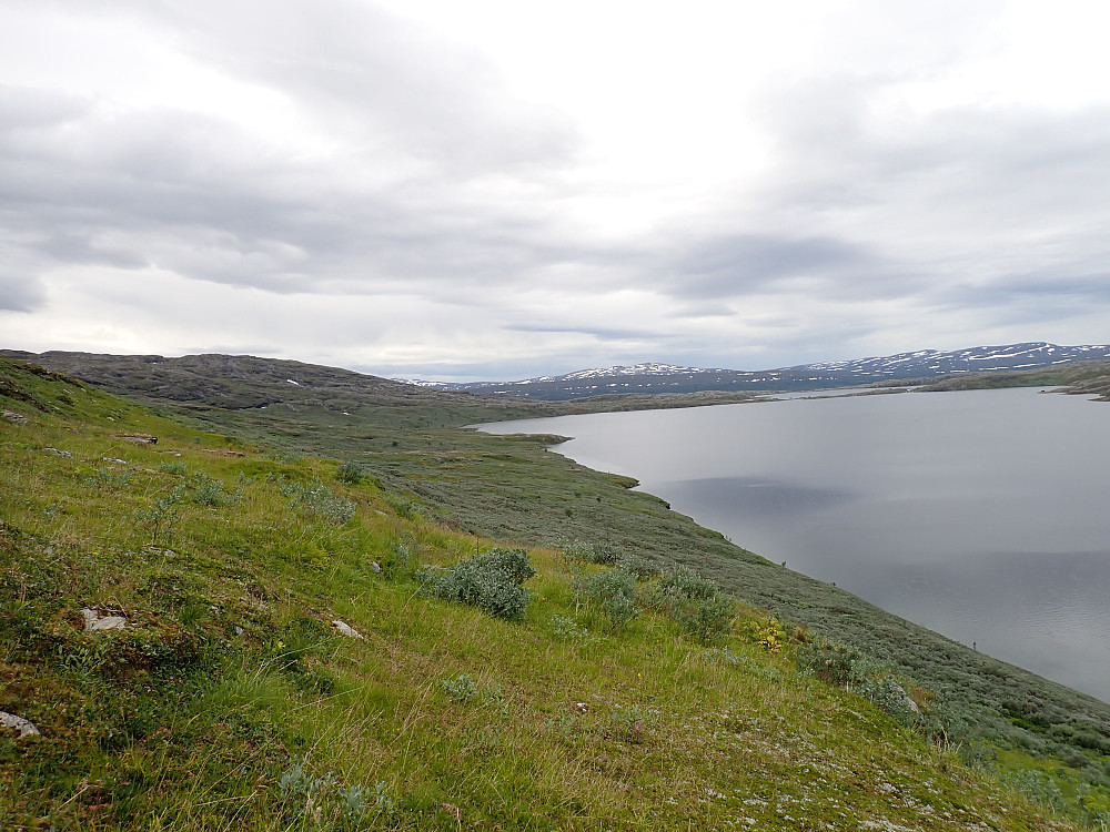 Så er det bare sjarmøretappen langs Dorrovannene igjen til teltet