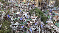 elleso_20211101_6180380ea6915.jpg