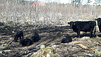 elleso_20211101_618039213abb4.jpg