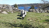elleso_20211101_61803b15e2e78.jpg