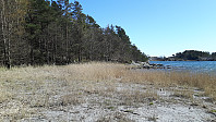 elleso_20211101_6180403473236.jpg