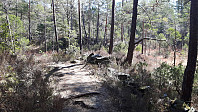 elleso_20211101_618041dfafcda.jpg