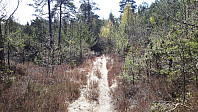 elleso_20211101_618041e316df3.jpg