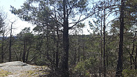elleso_20211101_618041e8afaf8.jpg