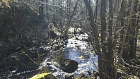 elleso_20211101_618041f051add.jpg