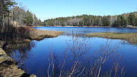 elleso_20211101_618041f2a7e03.jpg