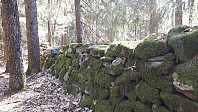 elleso_20211101_618041f891fa7.jpg