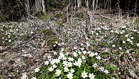 elleso_20211101_618041febd1f3.jpg