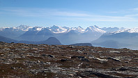 elleso_20211101_61805b2acbf36.jpg