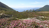 elleso_20211101_61805b365ed61.jpg