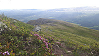 elleso_20211102_618152b8e847b.jpg