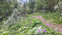 elleso_20220306_6224aba558727.jpg