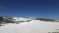 elleso_20220306_6224b34206452.jpg