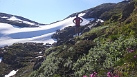 elleso_20220306_6224b3f82a614.jpg