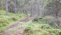 elleso_20220306_6224be87ba644.jpg