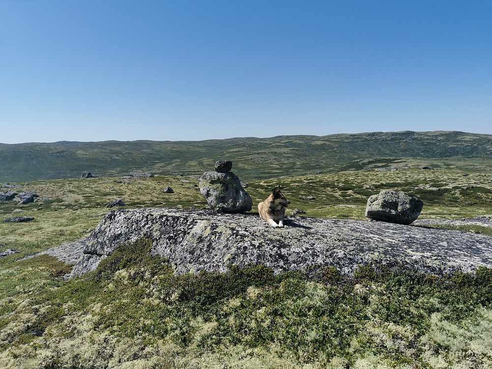 Steinsetfjellet