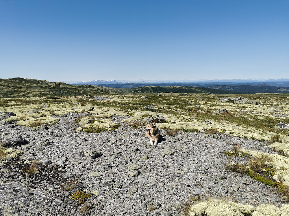 Sør vest for Steinsetfjellet