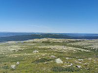 ovega_20210718_60f3df535f63b.jpeg
