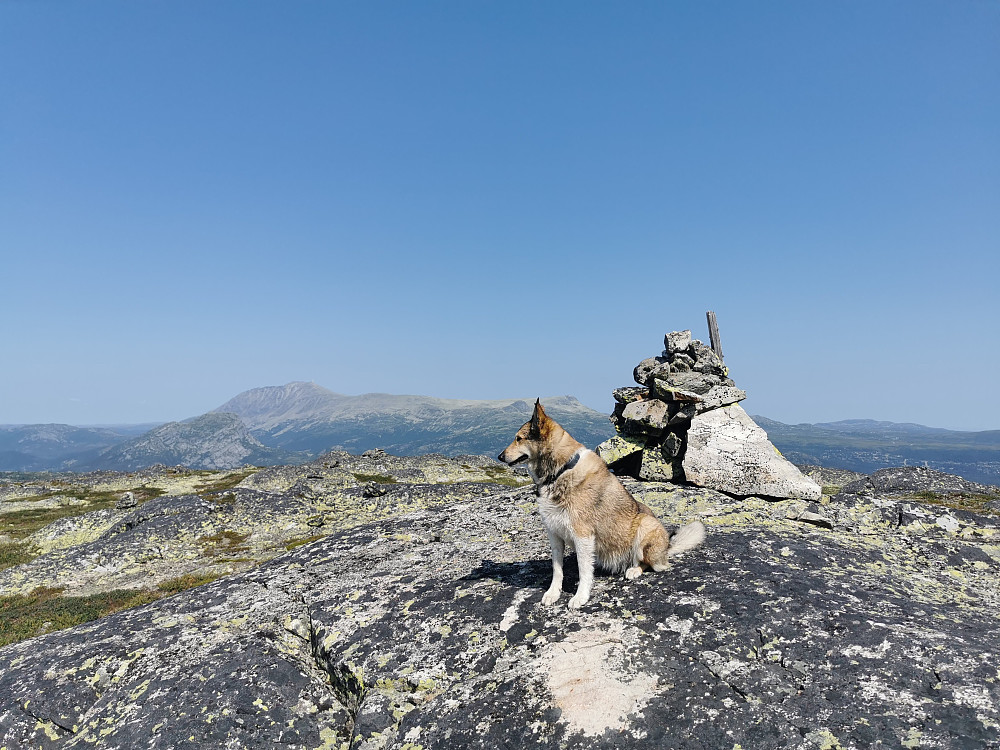 Lomtjørnfjellet