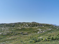 ovega_20210727_60ffb9908e7ef.jpeg