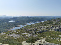 ovega_20210727_60ffb99273fa6.jpeg