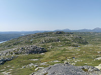 ovega_20210727_60ffb9949b280.jpeg