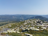 ovega_20210727_60ffb99598c4c.jpeg