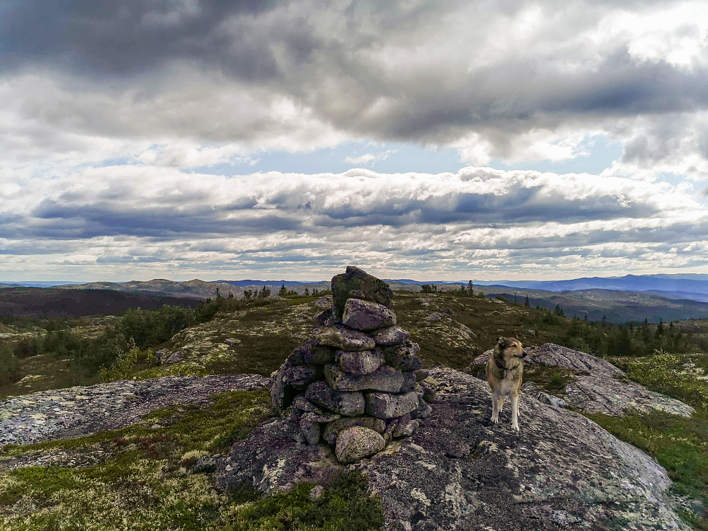 Nybufjellet