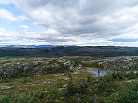 ovega_20210828_6129d4eb70077.jpeg