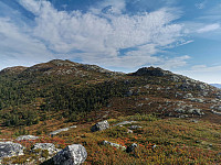 ovega_20210912_613e35d850f7c.jpeg