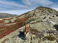 ovega_20210912_613e35e082db6.jpeg