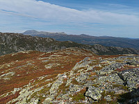 ovega_20210912_613e35e742010.jpeg