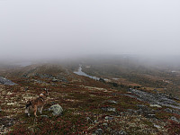 ovega_20210919_6146e9e9417a0.jpeg