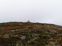 ovega_20210919_6146e9ea20085.jpeg