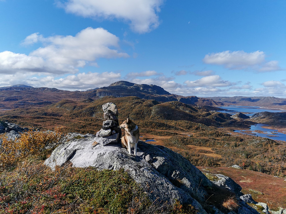 Døvlingstjørnfjellet